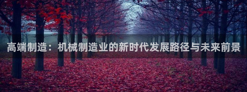 彩神vll首页环球：高端制造：机械制造业的新时代发展路径与未来前景