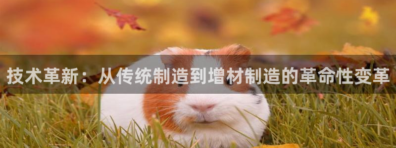 彩神8彩平台客服：技术革新：从传统制造到增材制造的革命性变革