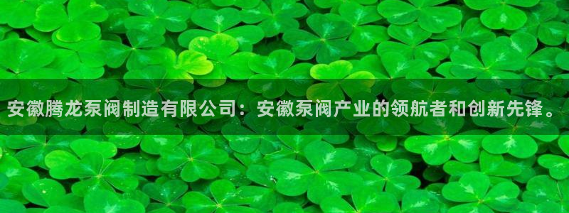 彩神赢钱了吗知乎：安徽腾龙泵阀制造有限公司：安徽泵阀产业的领航者和创新先锋。