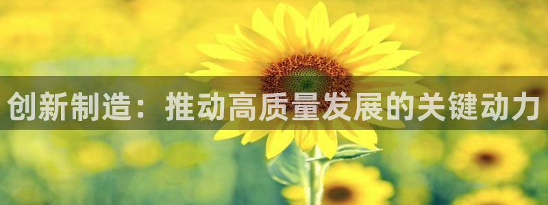 彩神平台是真的吗：创新制造：推动高质量发展的关键动力