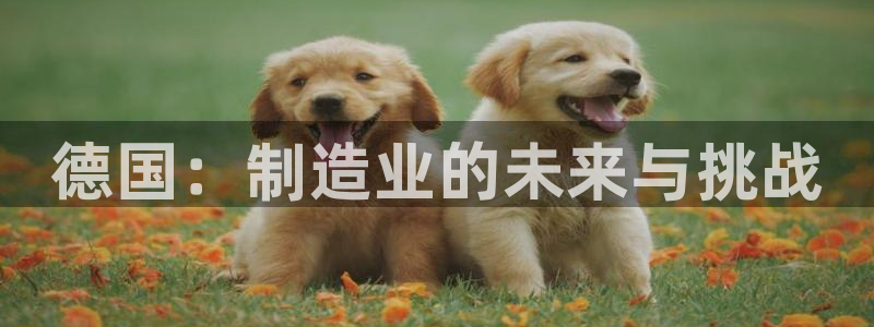 彩神平台能提现吗：德国：制造业的未来与挑战