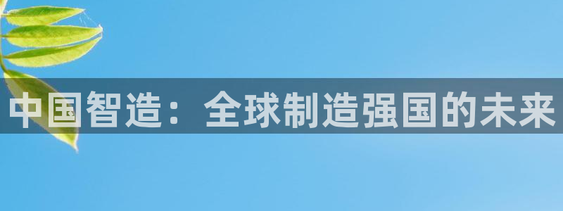 彩神vlll(中国)百度百科：中国智造：全球制造强国的未来