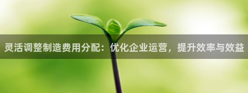 彩神网官网登录：灵活调整制造费用分配：优化企业运营，提升效率与效益