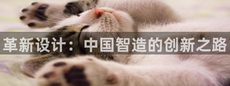 彩神vll趣投彩：革新设计：中国智造的创新之路
