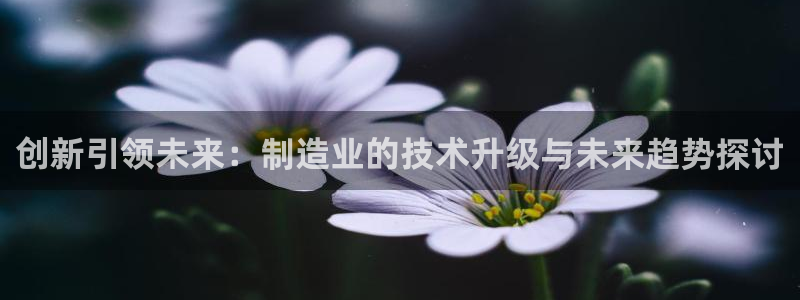 彩神x平台靠什么盈利