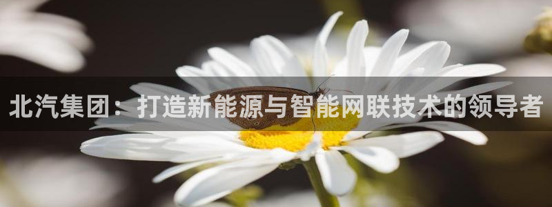 彩神购彩-购彩大厅入口36fr