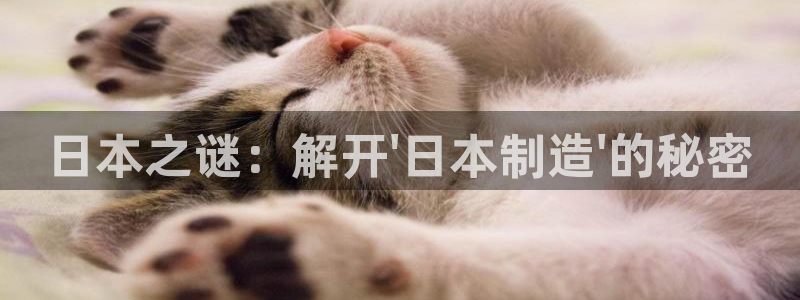 彩神V8平台：日本之谜：解开\'日本制造\'的秘密
