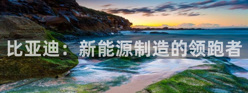 彩神8官网下