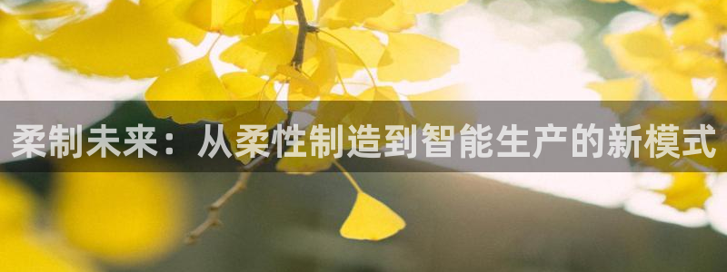 彩神8彩平台客服