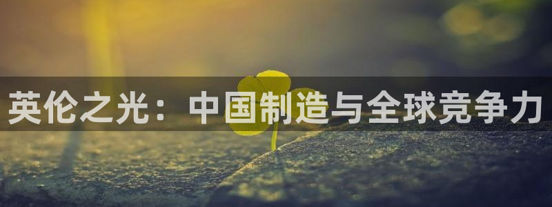 彩神大发黑平台：英伦之光：中国制造与全球竞争力