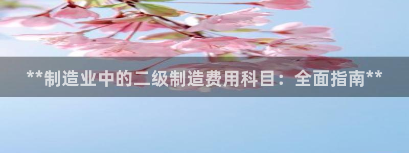 彩神平台之间是什么关系：**制造业中的二级制造费用科目：全面