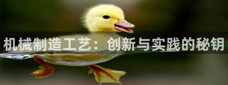 彩神v破解版：机械制造工艺：创新与实践的秘钥