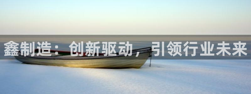 彩神vip购彩大厅下载：鑫制造：创新驱动，引领行业未来