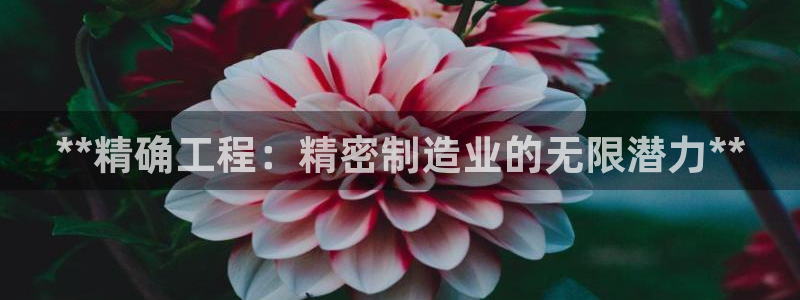 v彩神88iii：**精确工程：精密制造业的无限潜力**