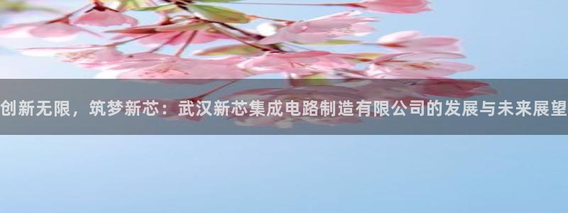 彩神v8手机客户端在哪：创新无限，筑梦新芯：武汉新芯集成电路制造有限公司的发展与未来展望