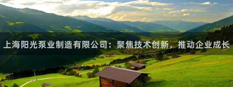 彩神购彩-购彩大厅入口36fr：上海阳光泵业制造有限公司：聚焦技术创新，推动企业成长