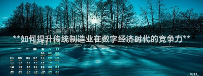 彩神赢钱了吗是真的吗：**如何提升传统制造业在数字经济时代的竞争力**