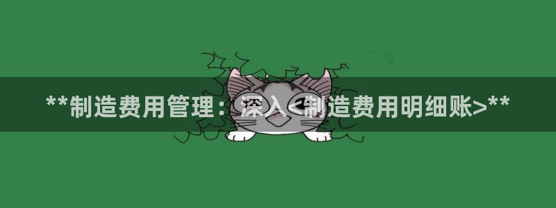 天天赢彩神：**制造费用管理：深入<制造费用明细账>**