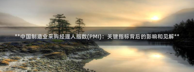 彩神ix可靠吗：**中国制造业采购经理人指数(PMI)：关键指标背后的影响和见解**
