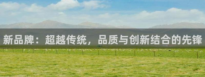 彩神8是正规平台吗知乎：新品牌：超越传统，品质与创新结合的先锋