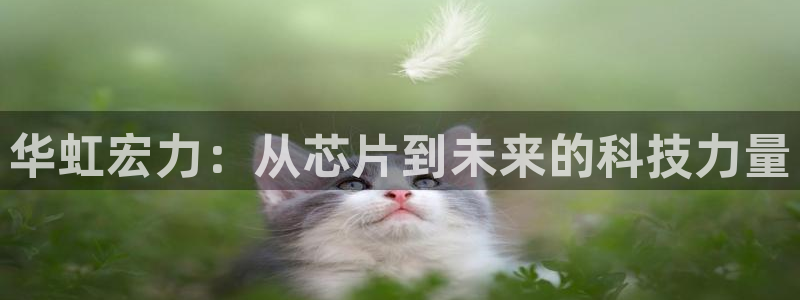 彩神大发是不是人为操作